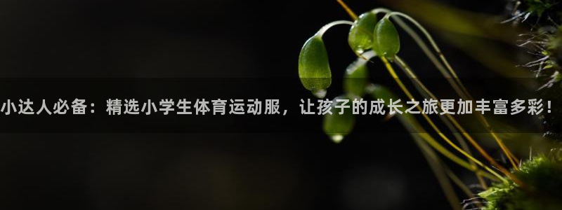 k1体育下载地址：小达人必备：精选小学生体育运动服，让孩子的成长之旅更加丰富多彩！