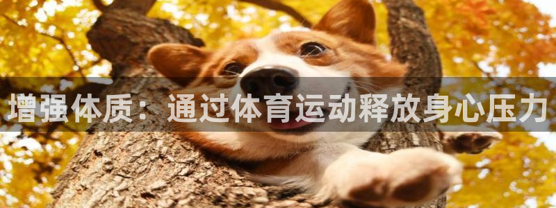k1体育app：增强体质：通过体育运动释放身心压力