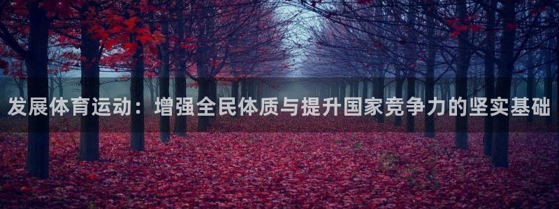 k1体育app官网登录入口：发展体育运动：增强全民体质与提升国家竞争力的坚实基础