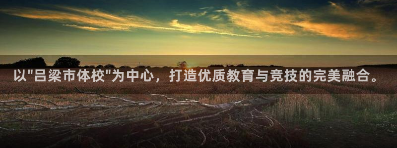 k1体育网站登录官网：以\